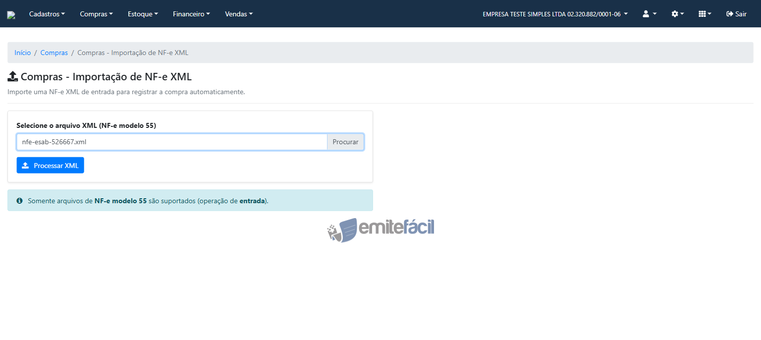 Arquivo XML selecionado, pronto para processar