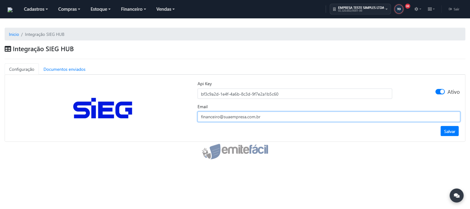 Campos Api Key e Email preenchidos, com o status alternando automaticamente para Ativo